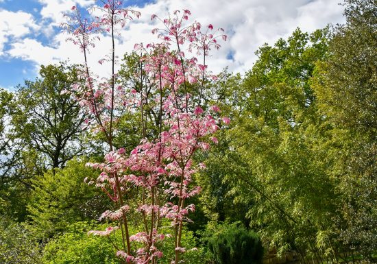 Les Jardins du Loriot