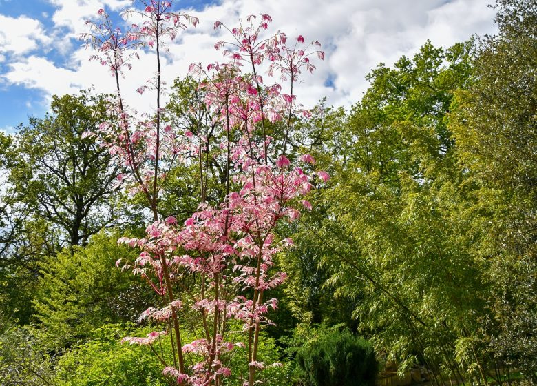 LES JARDINS DU LORIOT