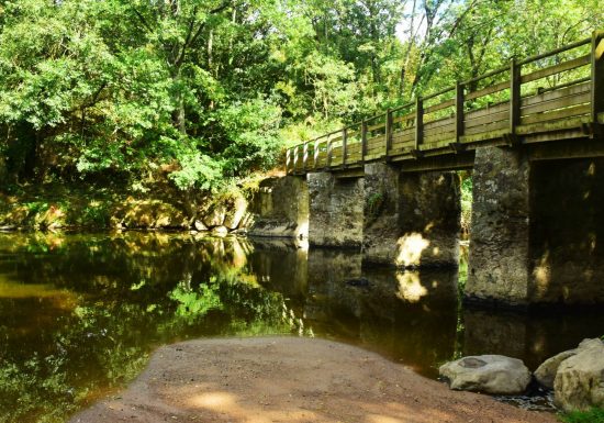 Sentier du Sureau (Rives de l’Yon)