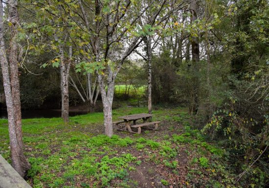 Aire de pique-nique de l’île du Furet