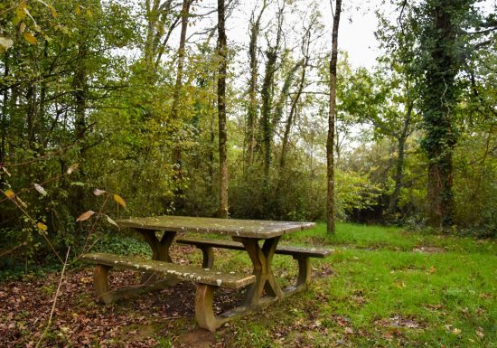 Aire de pique-nique de l’île du Furet