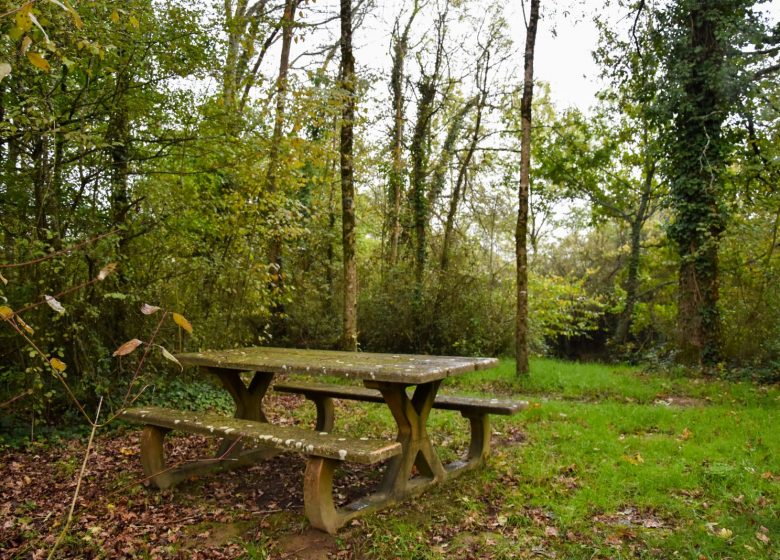 FURET ISLAND PICNIC AREA