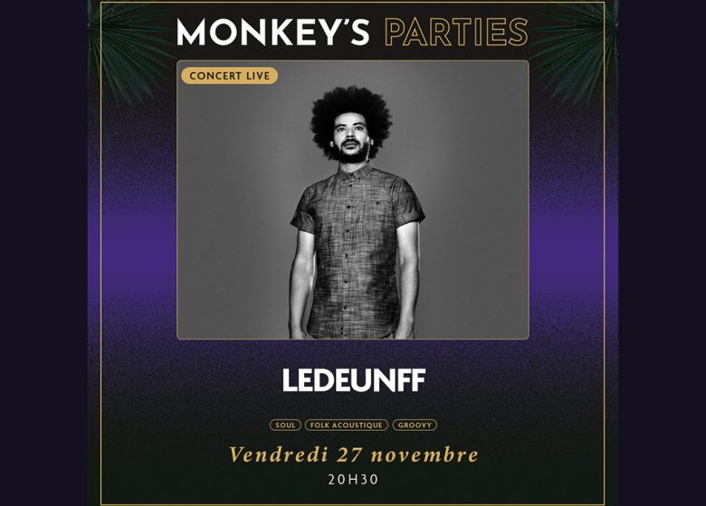 David Le Deunff en concert au Monkey Place