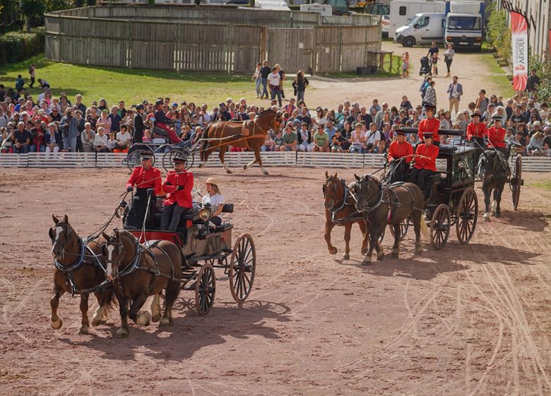 Journées Européennes du Patrimoine – Haras de la Vendée