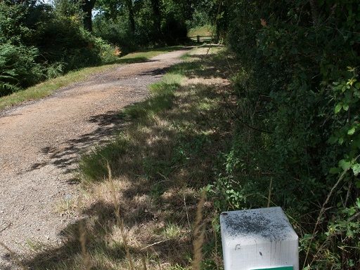 Sentier entre Livraie et Ornay (Aubigny les Clouzeaux)