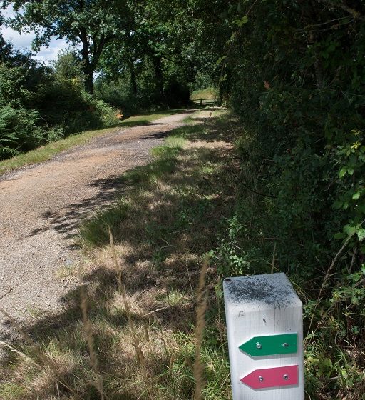 Sentier entre Livraie et Ornay