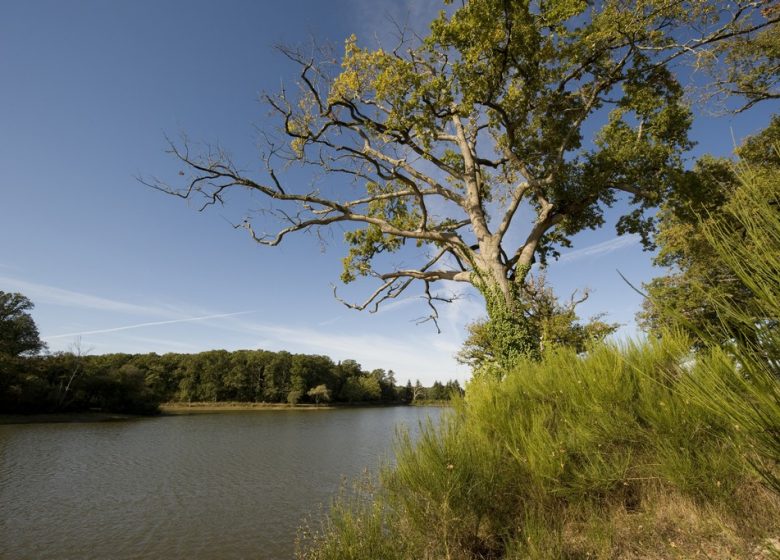 SENSITIVE NATURAL AREA OF PLESSIS BERGERET