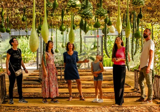 Le Potager Extraordinaire