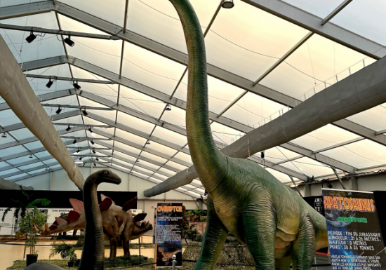 Exposition dinosaures XXL