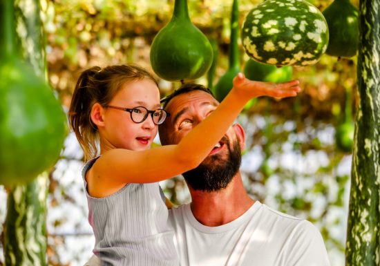 Le Potager Extraordinaire