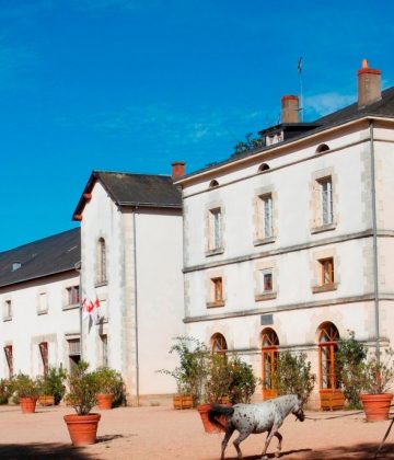 Visite libre du Haras de la Vendée