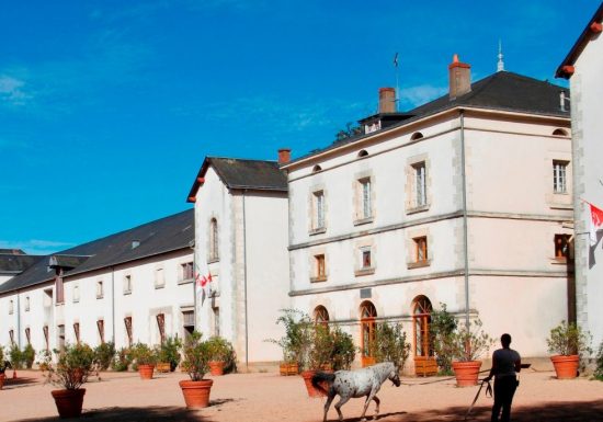 Visite libre du Haras de la Vendée