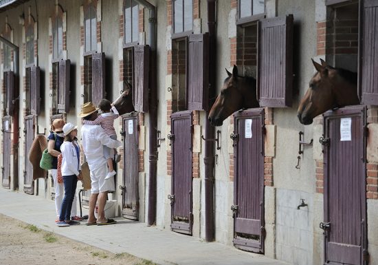 Haras de la Vendée