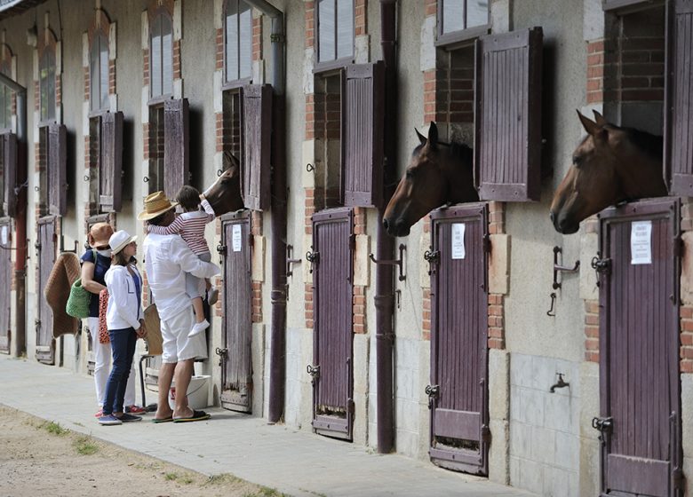 VENDEE HARAS