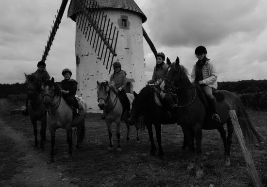 LA FERME DES LONGS CRINS