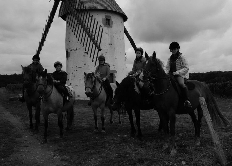 LA FERME DES LONGS CRINS