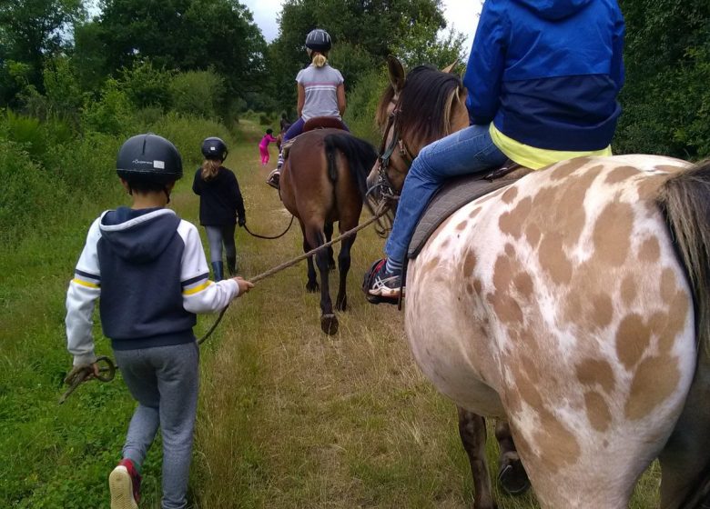 LA FERME DES LONGS CRINS