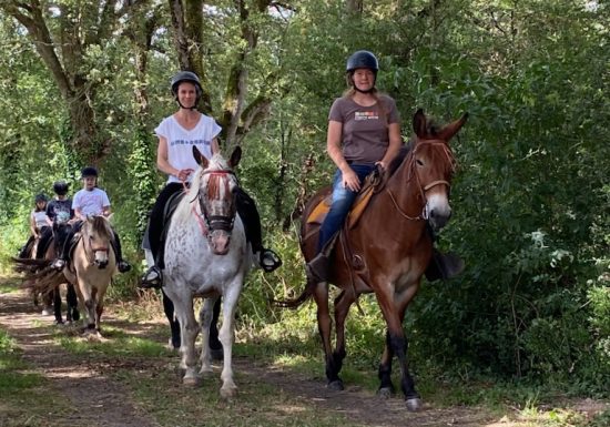 La ferme des longs crins