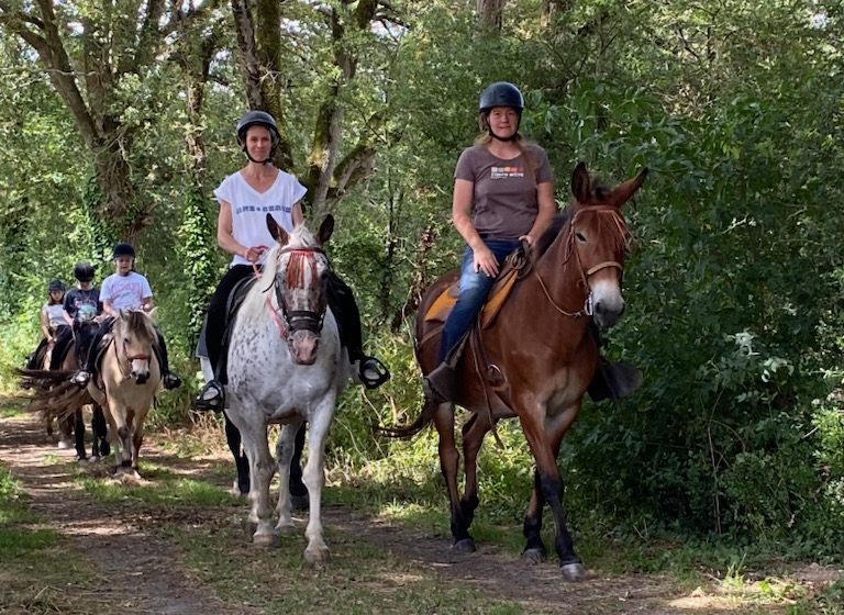 La ferme des longs crins