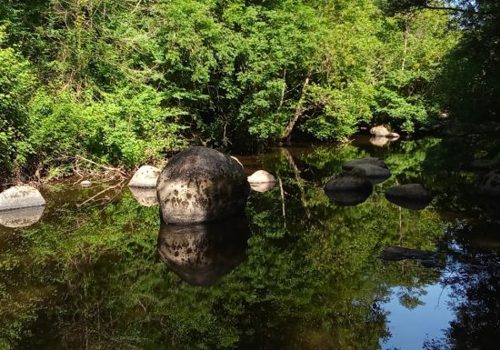 Sentier du Peuplier blanc (le Tablier)