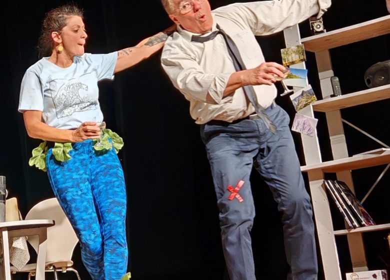 Pièce de théâtre « Meilleurs Voeux »