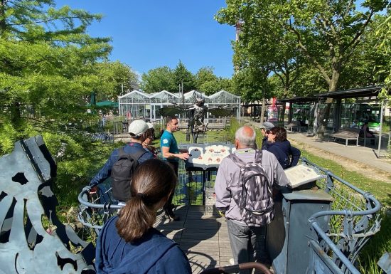 Visite guidée « Les coulisses des Animaux de la Place »