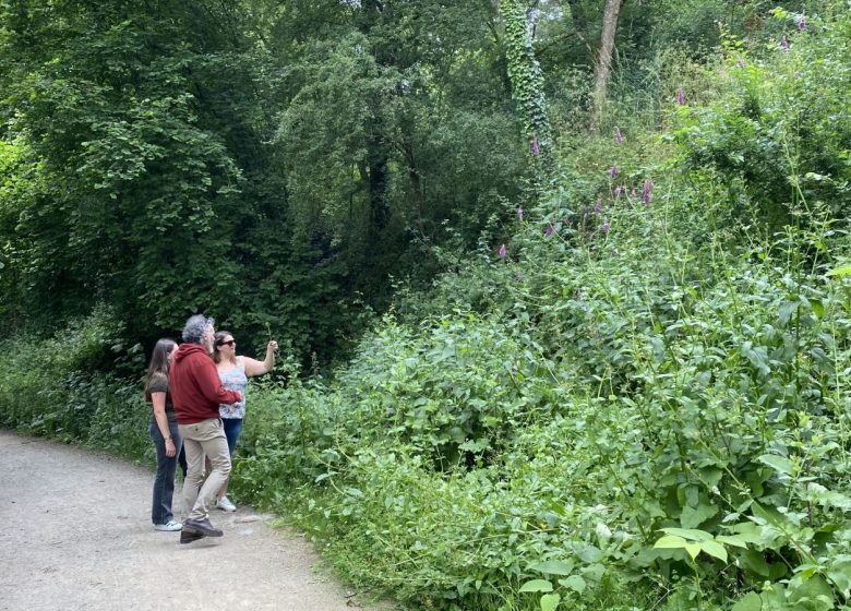 Les safaris Plumes et Pattes de la Destination La Roche-sur-Yon