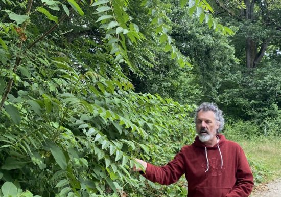 Sortie nature – Riot du Plessis