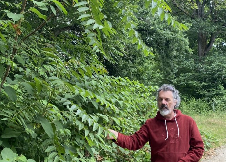 Sortie nature – Riot du Plessis