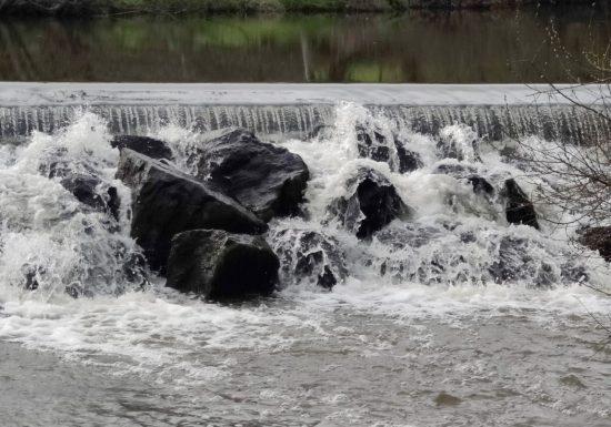 De Brancaire jusqu&rsquo;a Nesmy (accès par la ligne de bus Impulsyon n° 14- arrêt Brancaire et de Lattre))