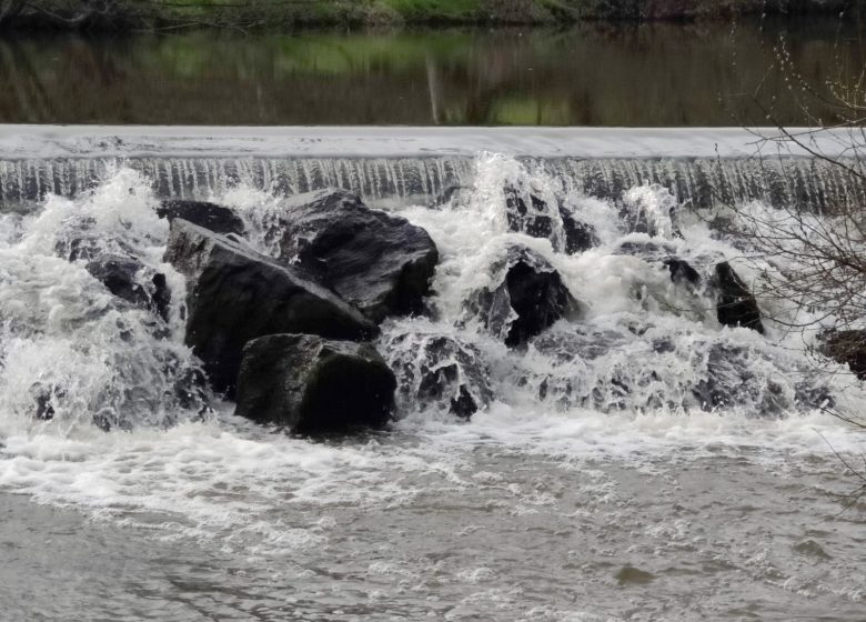 De Brancaire jusqu&rsquo;a Nesmy par la ligne de bus 14