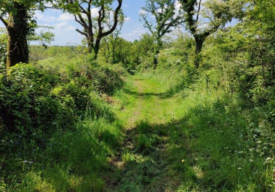 Sentier de la Battée (Thorigny)