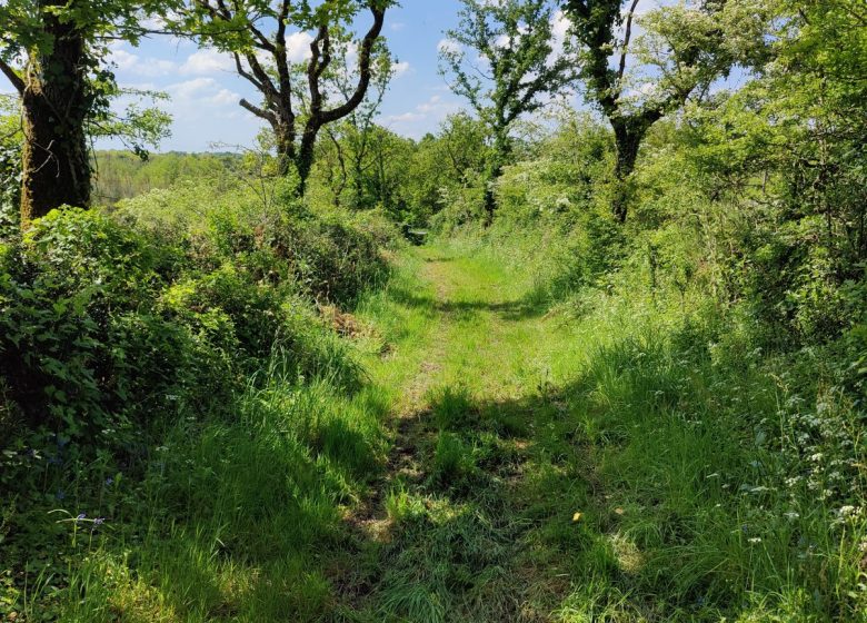 Sentier de la Battée