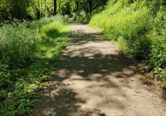 Sentier de la vallée verte du Marillet (La Chaize le Vicomte)