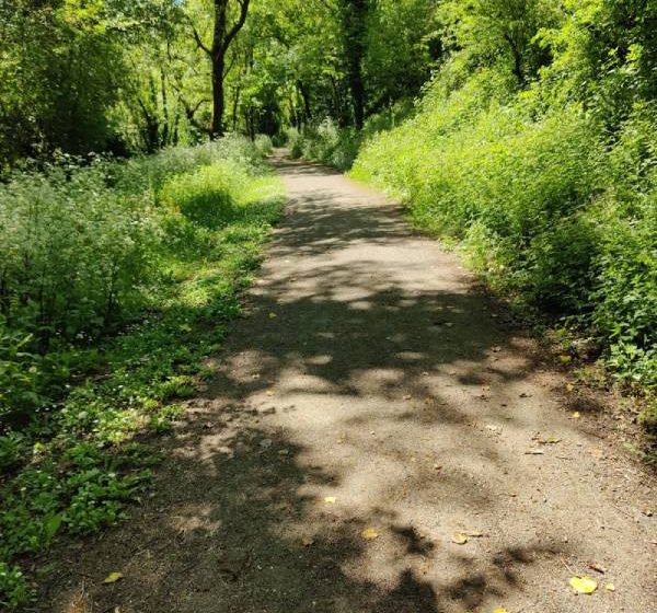 Sentier de la vallée verte du Marillet (La Chaize le Vicomte)