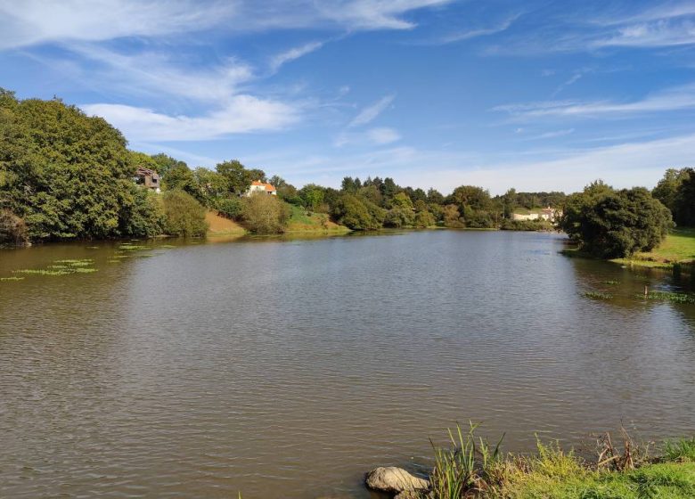 Sentier du lac de moulin Papon nord (La Ferrière et Dompierre sur Yon)