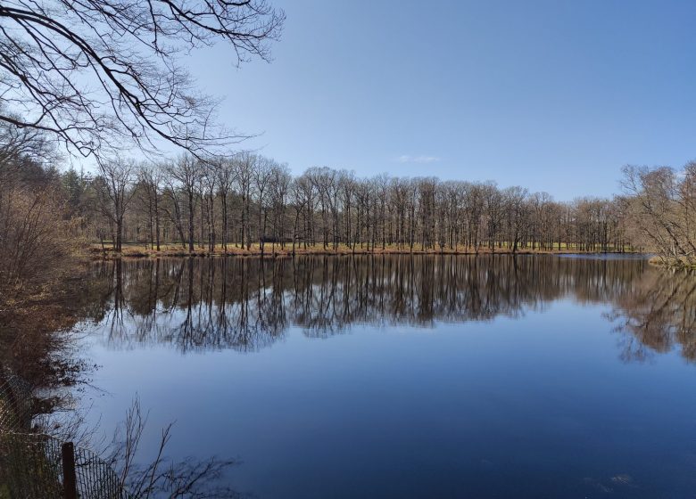 Chemin de la Ricotière Fougeré (accès ligne de bus Impulsyon n°15 arrêt- salle polyvalente)