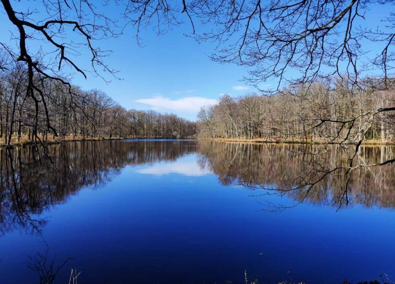 Chemin de la Ricotière Fougeré (accès ligne de bus Impulsyon n°15 arrêt- salle polyvalente)