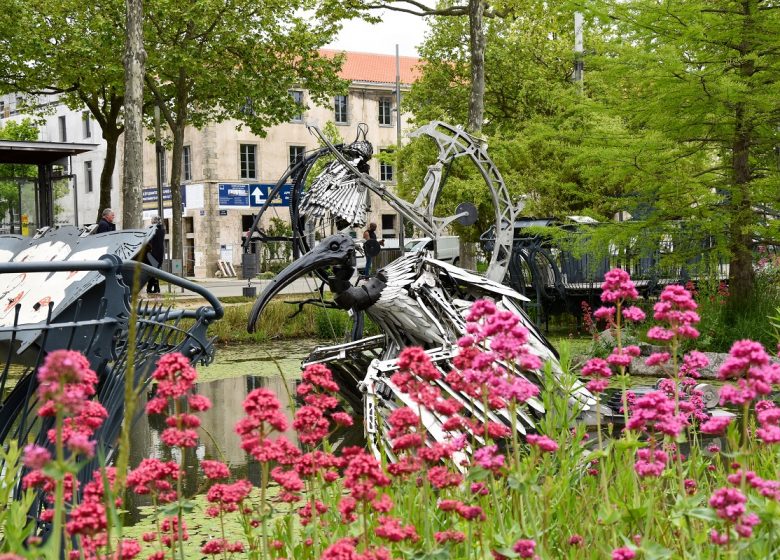 Les Animaux de la Place