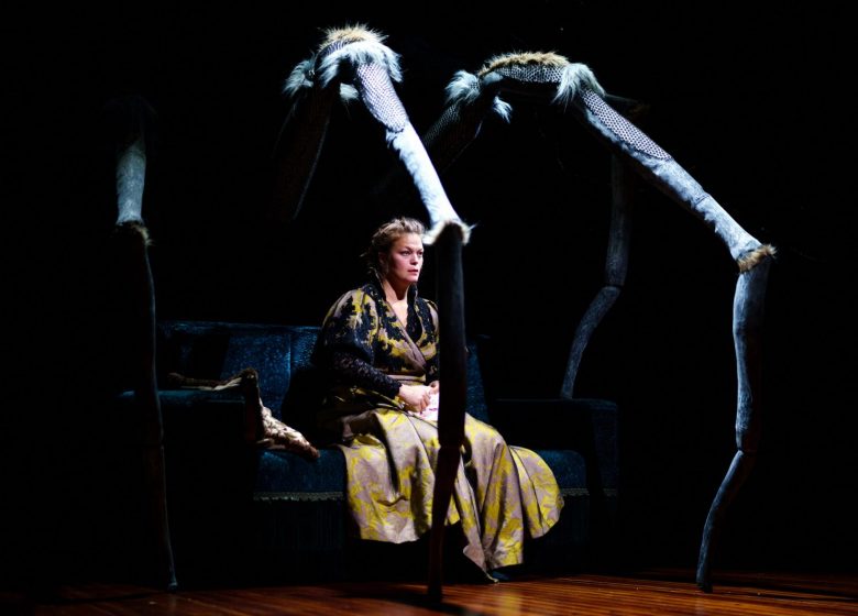 Une Maison de poupée – Henrik Ibsen | Yngvild Aspeli