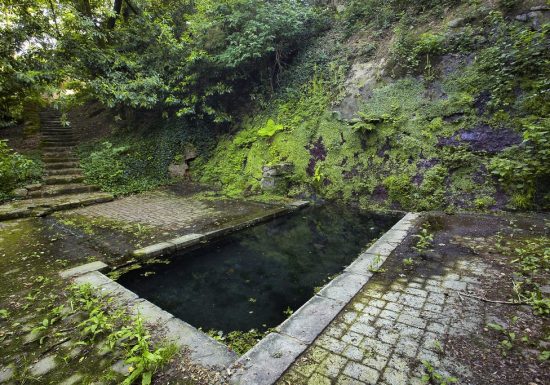 Jardin insolite du centre hospitalier Georges Mazurelle
