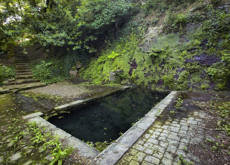 Jardin insolite du centre hospitalier Georges Mazurelle