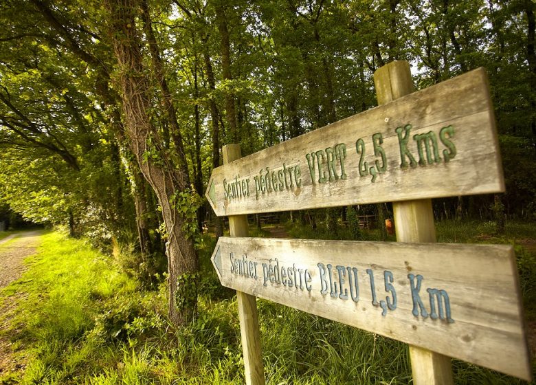 BOIS DES GIRONDINS