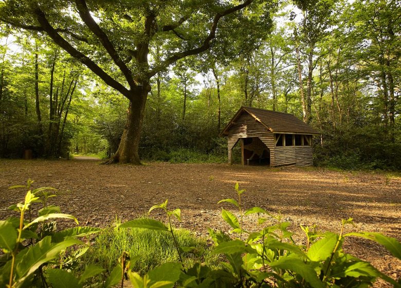 BOIS DES GIRONDINS