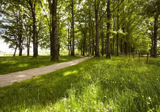 Aire de pique-nique des Terres noires