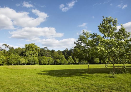 Aire de pique-nique de la Vallée verte