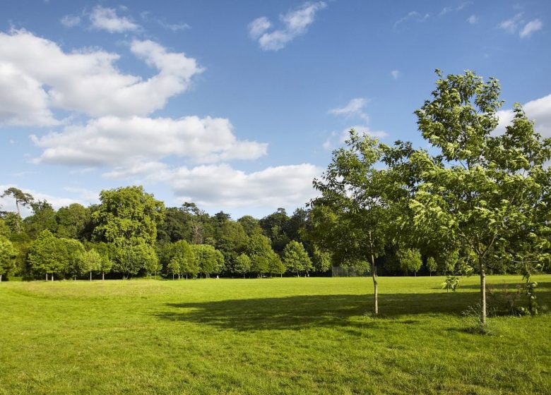 GREEN VALLEY PICNIC AREA