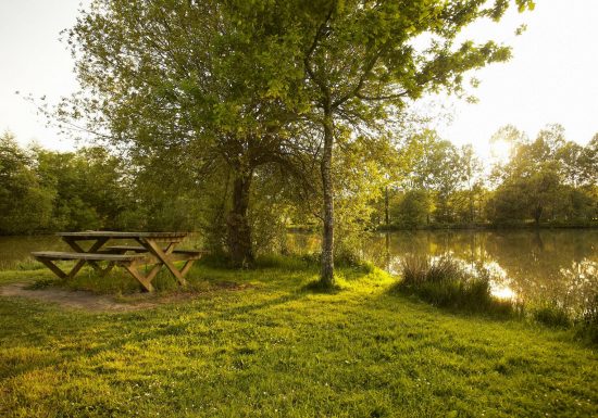 Aire de pique-nique de Landeronde