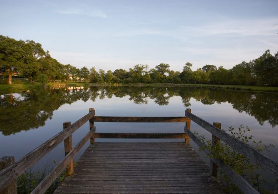 Aire de pique-nique de Landeronde