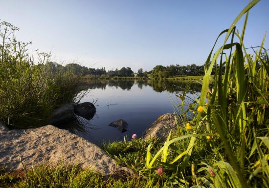Aire de pique-nique de la coulée verte du Guyon